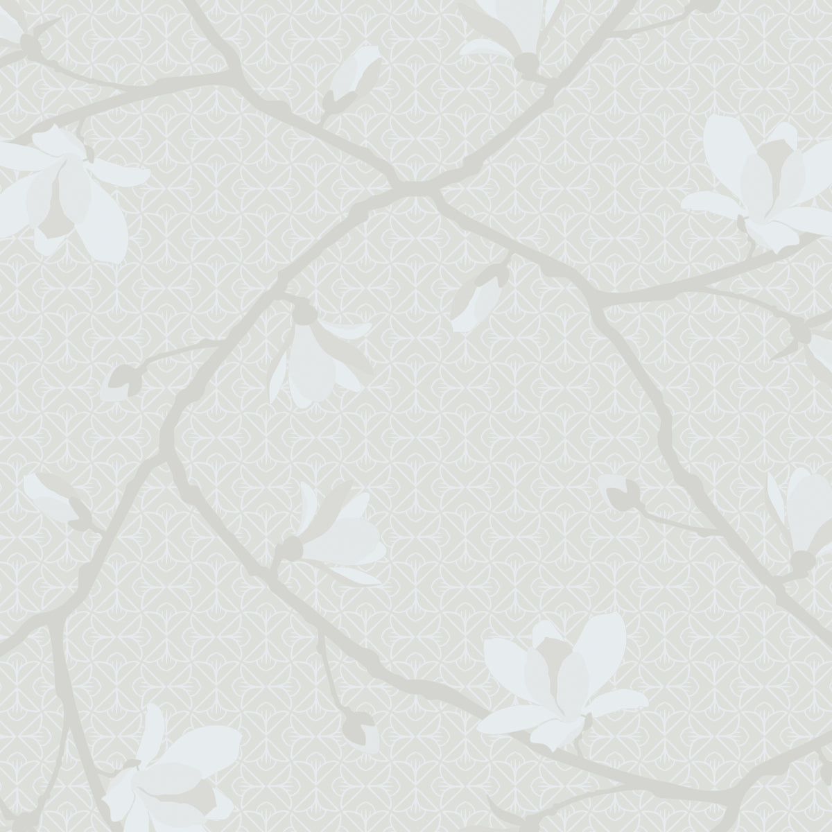 MAGNOLIA-BONE-SCHUMACHER-5452