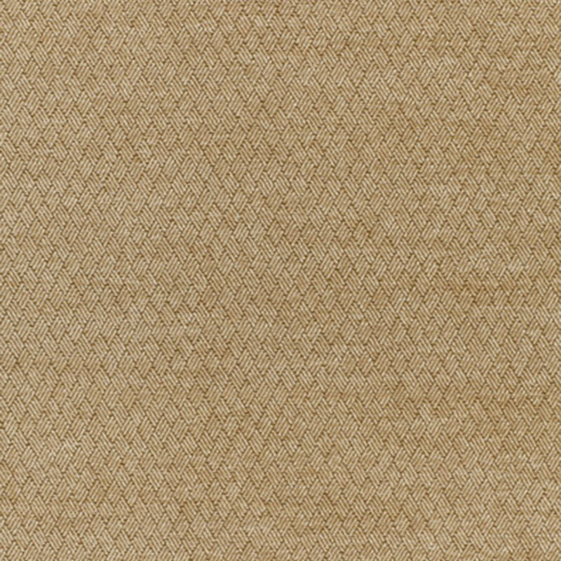 PAVIA-PARCHMENT-SCHUMACHER-54612