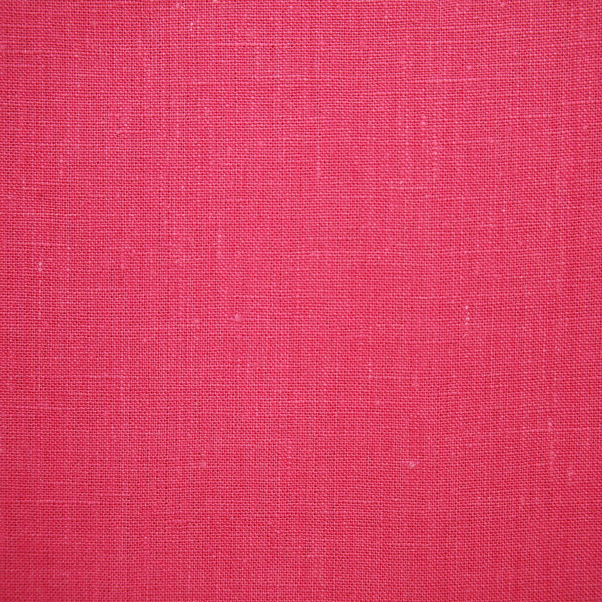 5468-flanders-azalea-pindler