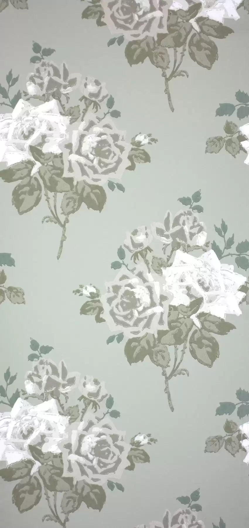 paradiso-rosa-alba-nina-campbell-ncw4033-03