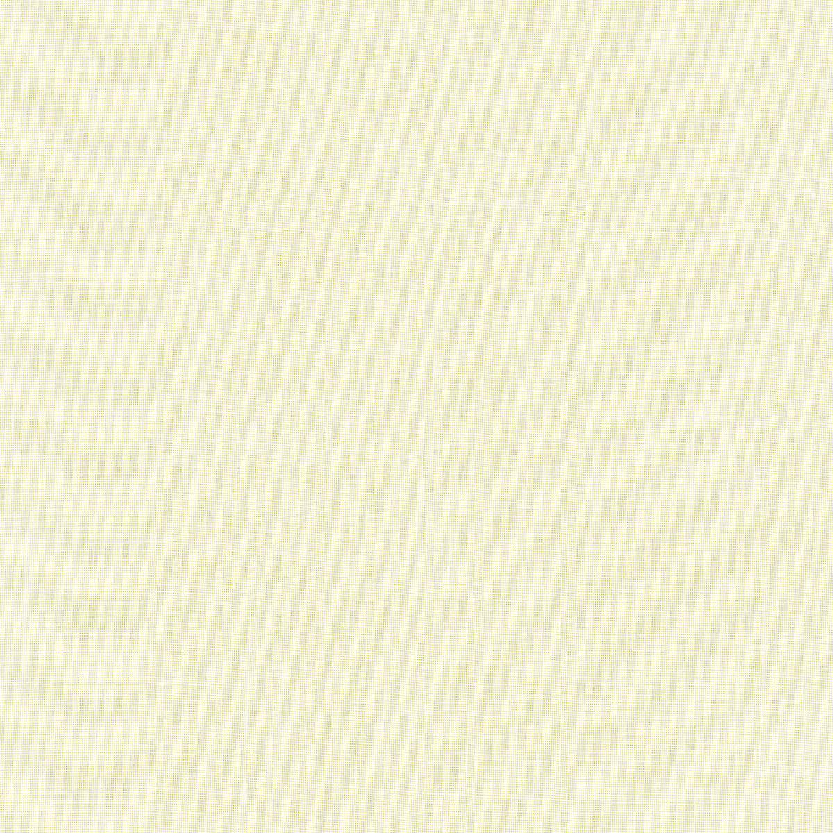 EMILIA-SHEER-STRAW-SCHUMACHER-55821