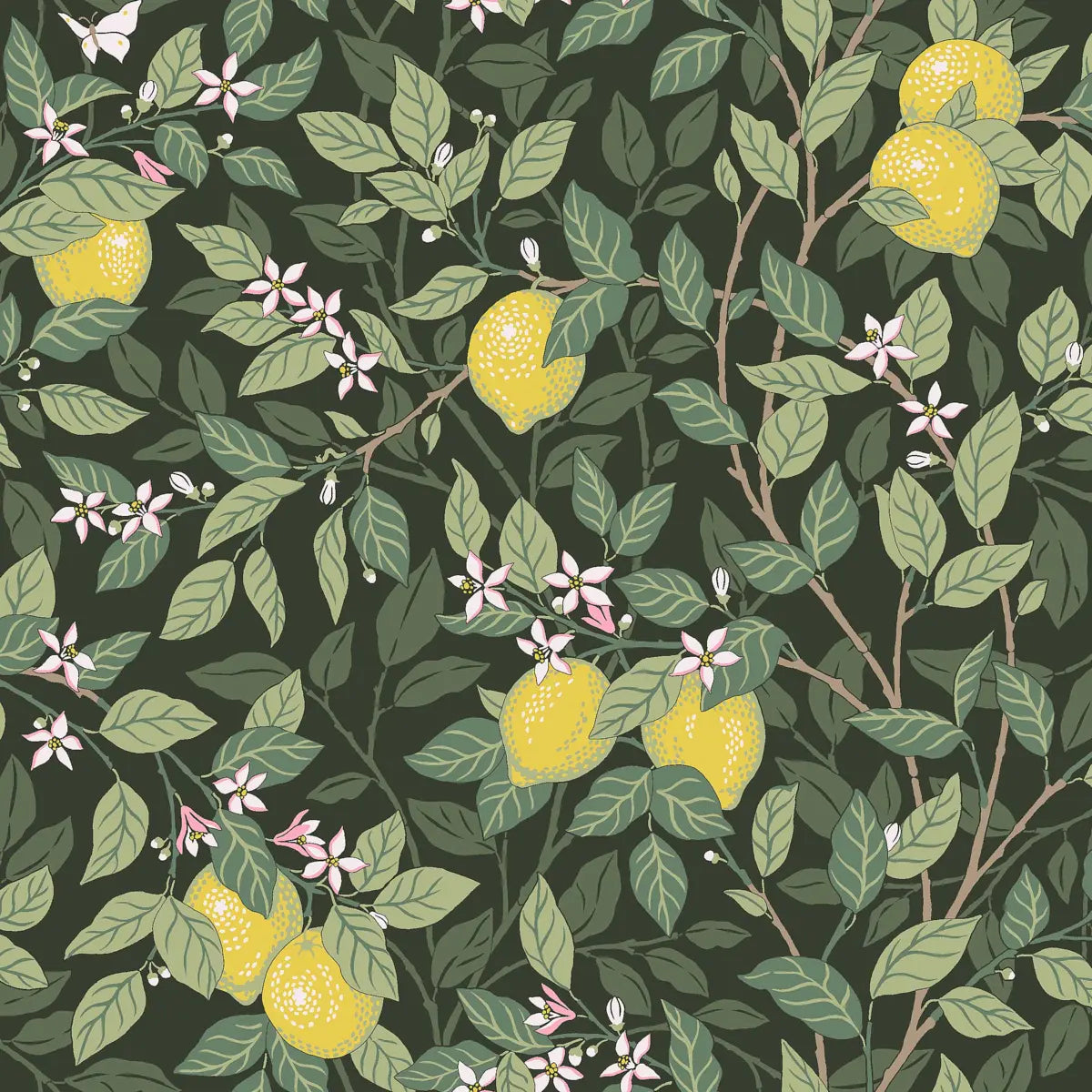 Citronträd - Green - Schumacher 5701 Wallcovering - Schumacher Wallpaper