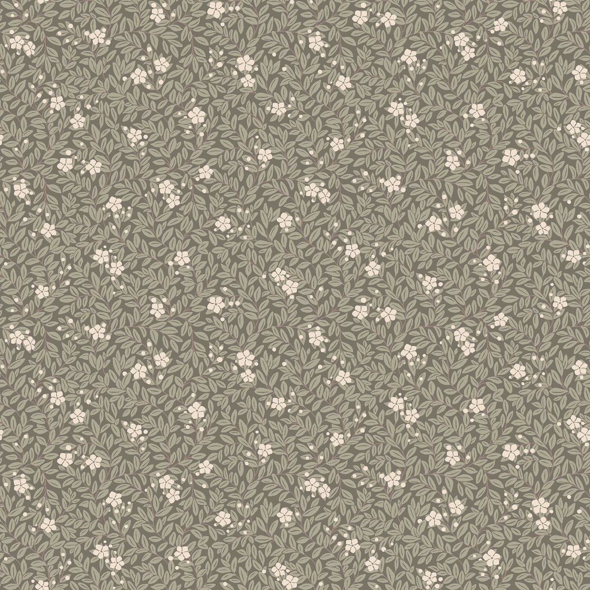 MYRTEN-OLIVE-SCHUMACHER-5715
