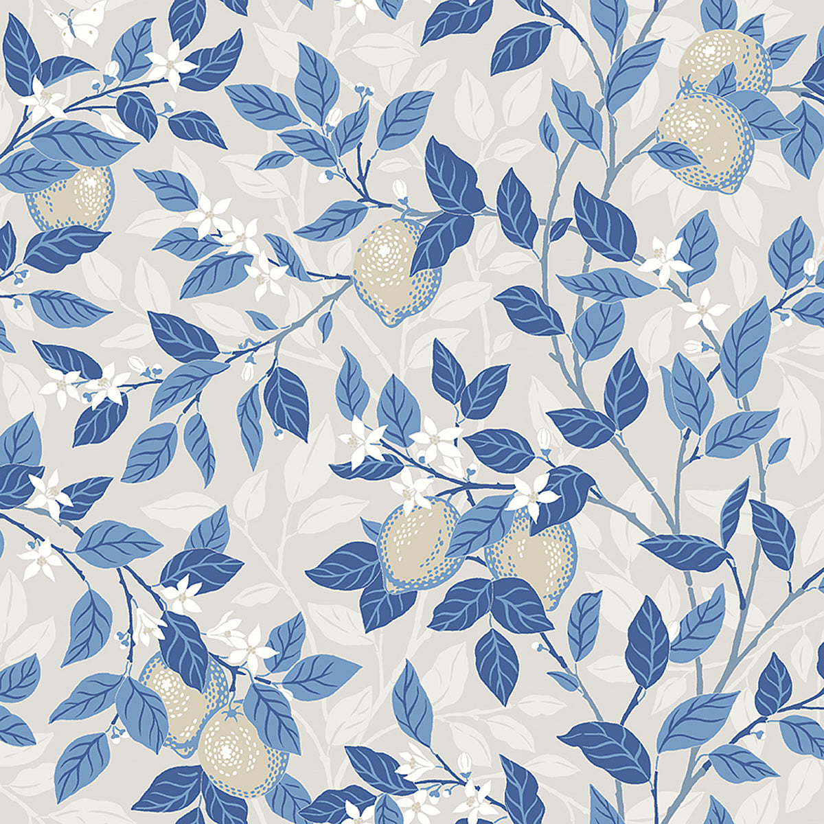 CITRONTRD-TAUPE-AND-BLUE-SCHUMACHER-6149