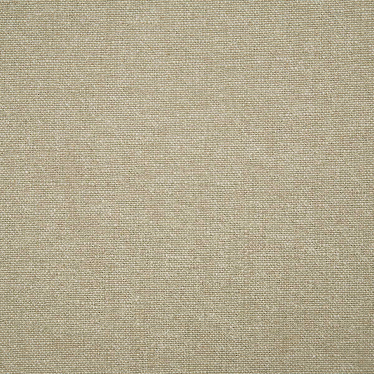 6206-glenbrook-birch-pindler - Pindler Tela