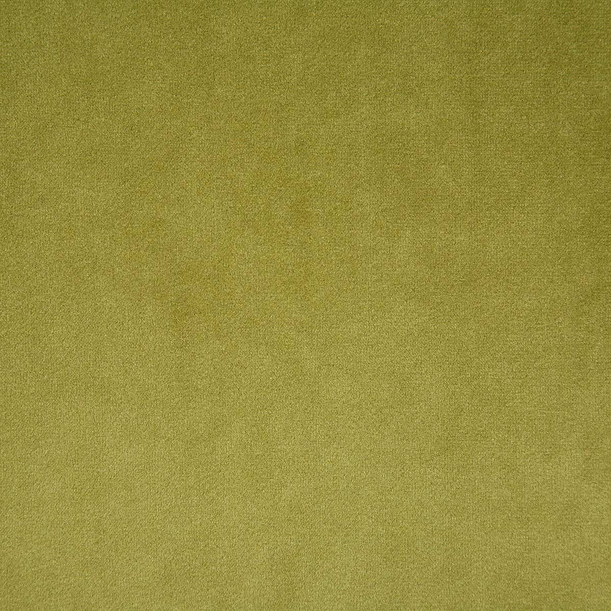 6334-voltaire-olive-pindler - Pindler Tela