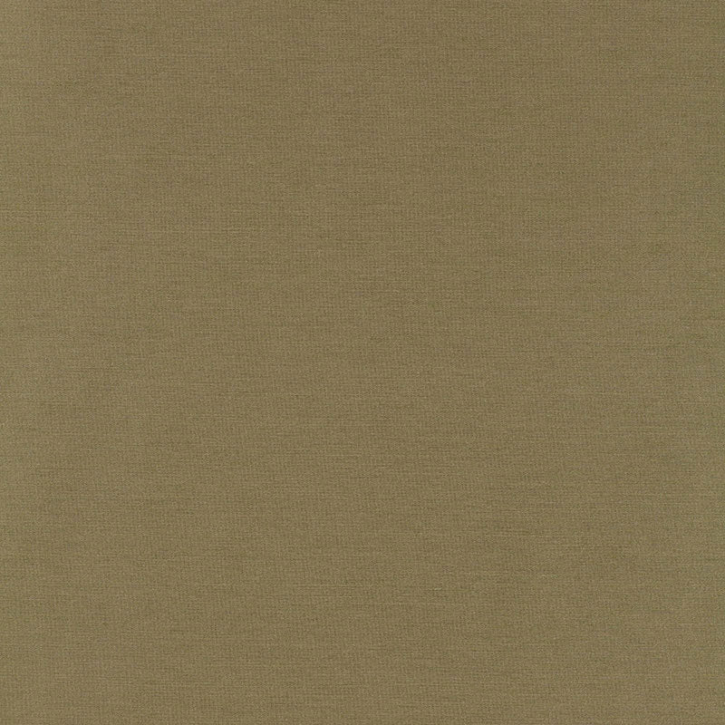 TIEPOLO-SHANTUNG-WEAVE-SAGE-SCHUMACHER-63867