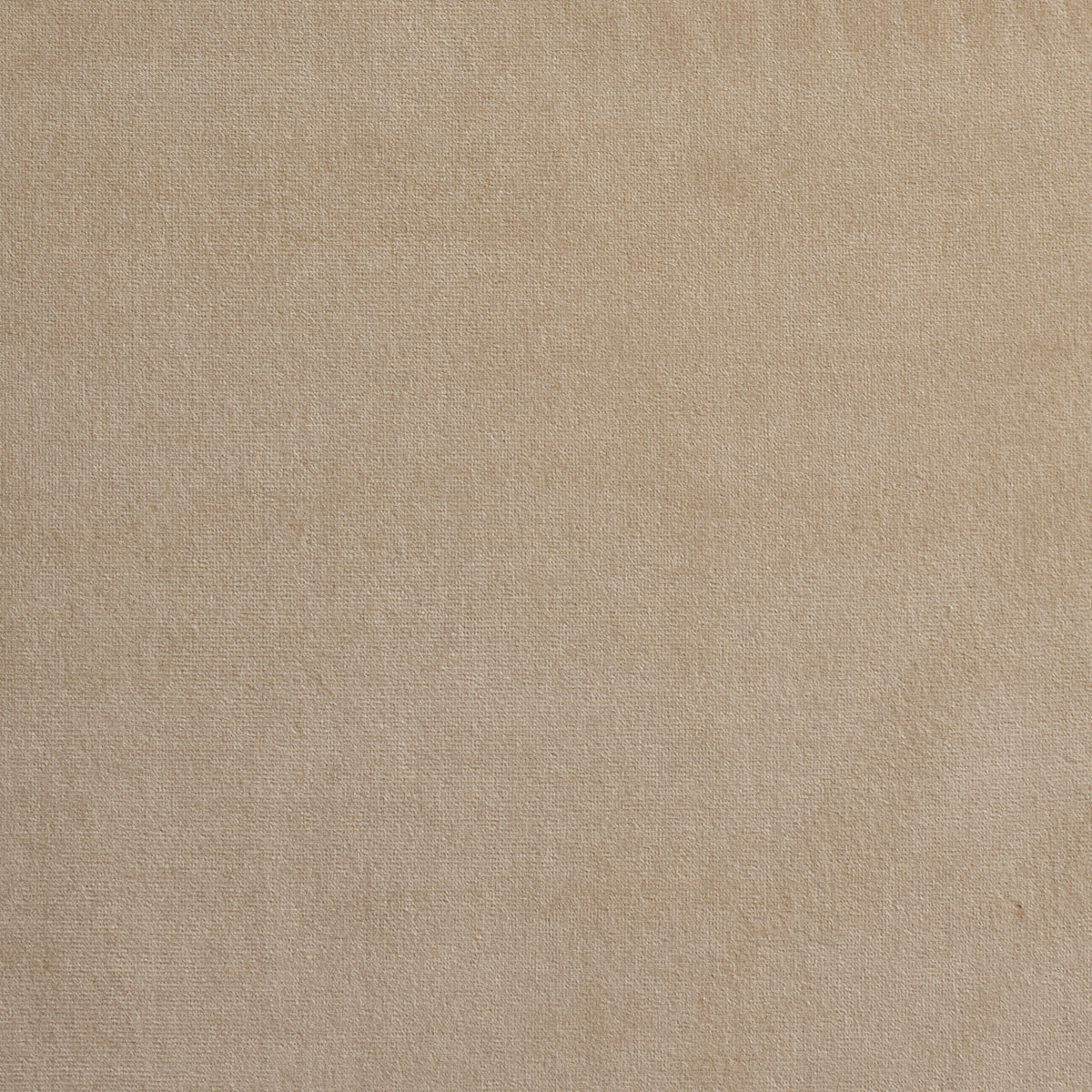 GAINSBOROUGH-VELVET-BISQUE-SCHUMACHER-64529