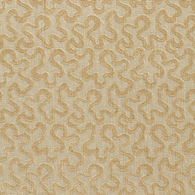 VERMICELLI-VELVET-CAMEL-SCHUMACHER-64764