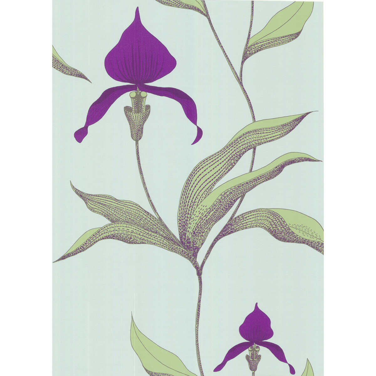 Orchid - Turquoi - COLE & SON Wallpaper