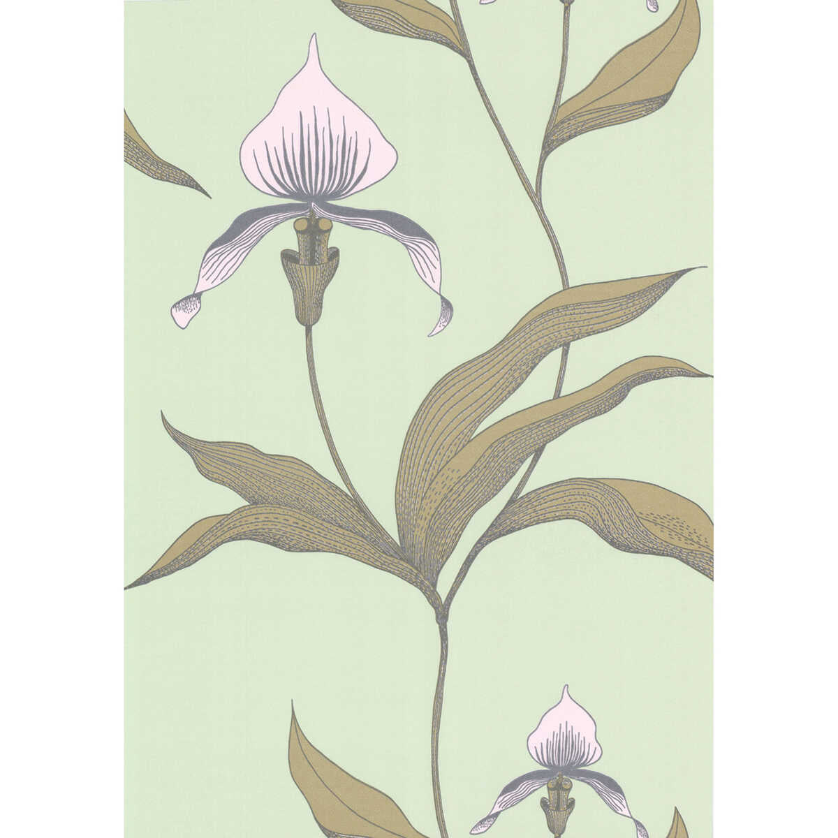 Orchid - Pale Gr - COLE & SON Wallpaper