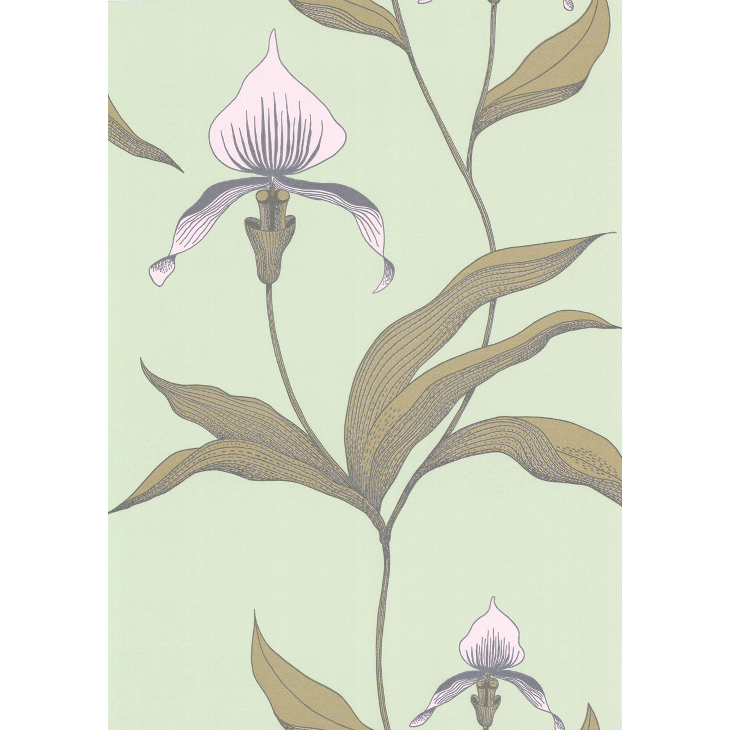 Orchid - Pale Gr - Cole & Son Wallpaper