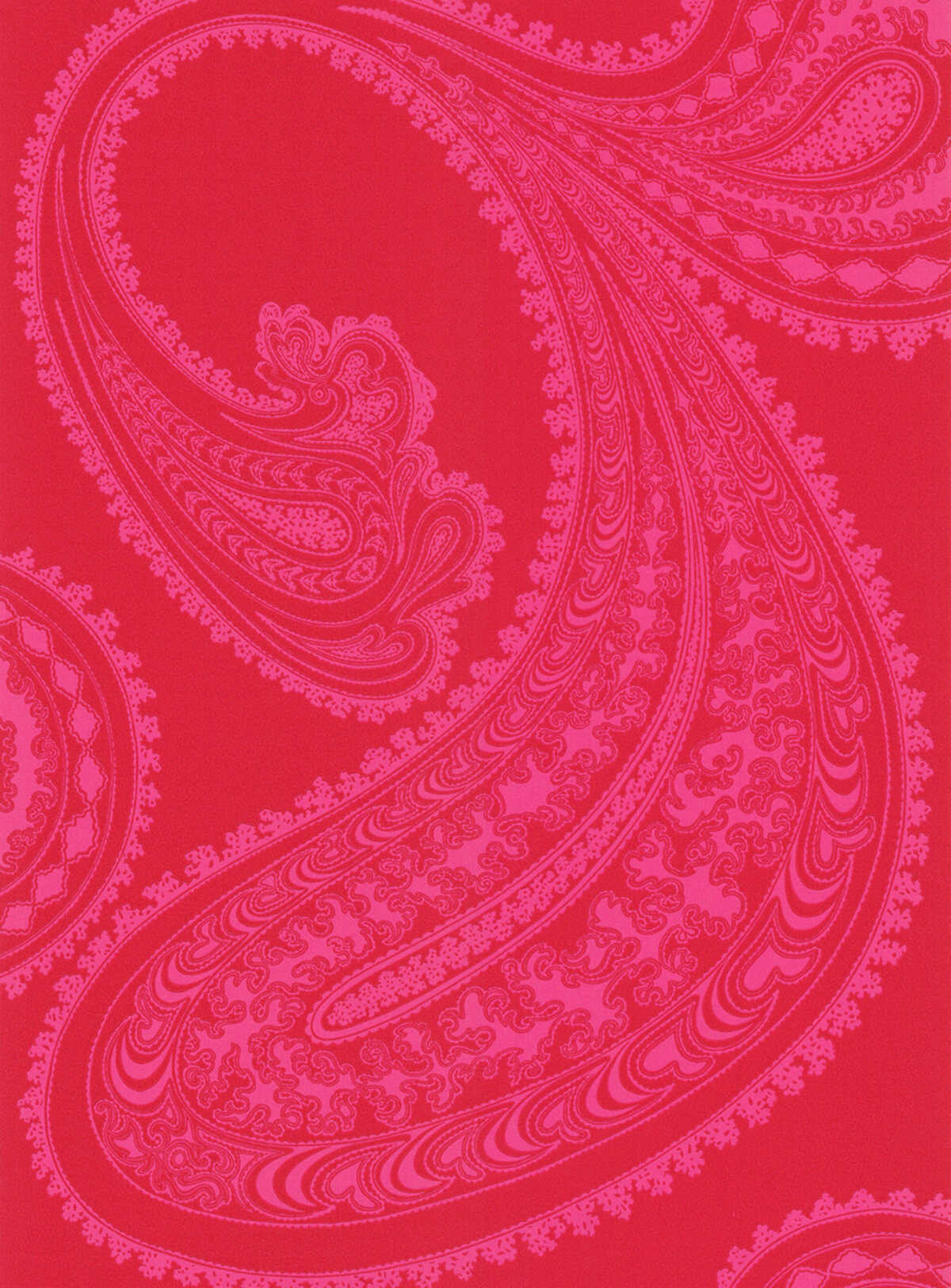 Rajapur - Pink/Re - COLE & SON Wallpaper
