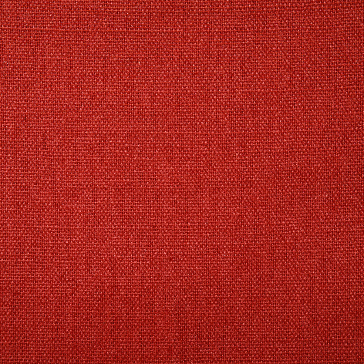 6613-danvers-hibiscus-pindler