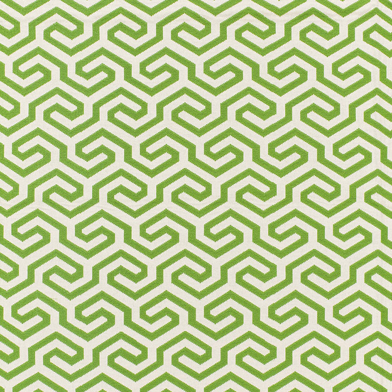 MING-FRET-GRASS-SCHUMACHER-66883