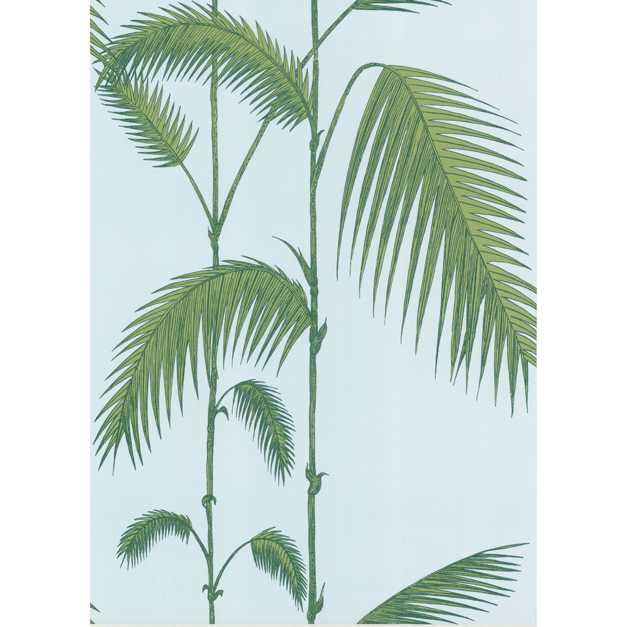 Palm Leaves - Pale Bl - Cole & Son Wallpaper