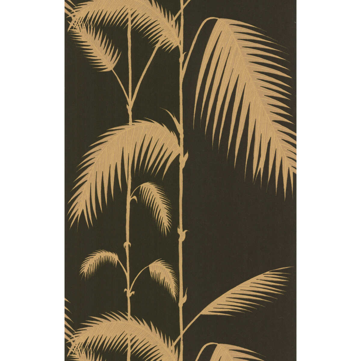 Palm Leaves - Black/T - COLE & SON Wallpaper