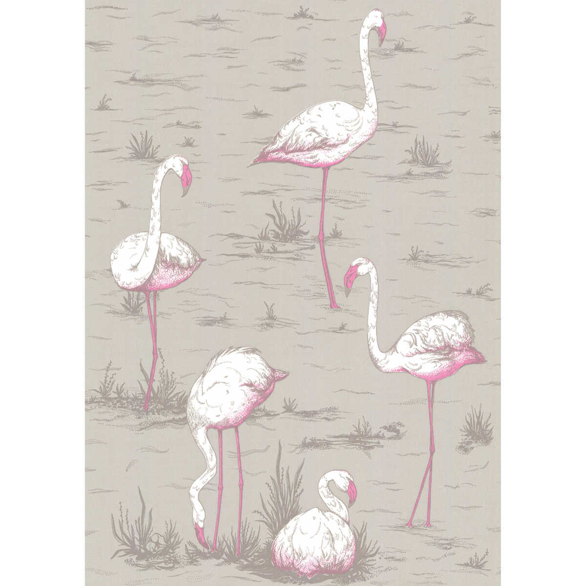 Flamingos - Grey - COLE & SON Papel pintado