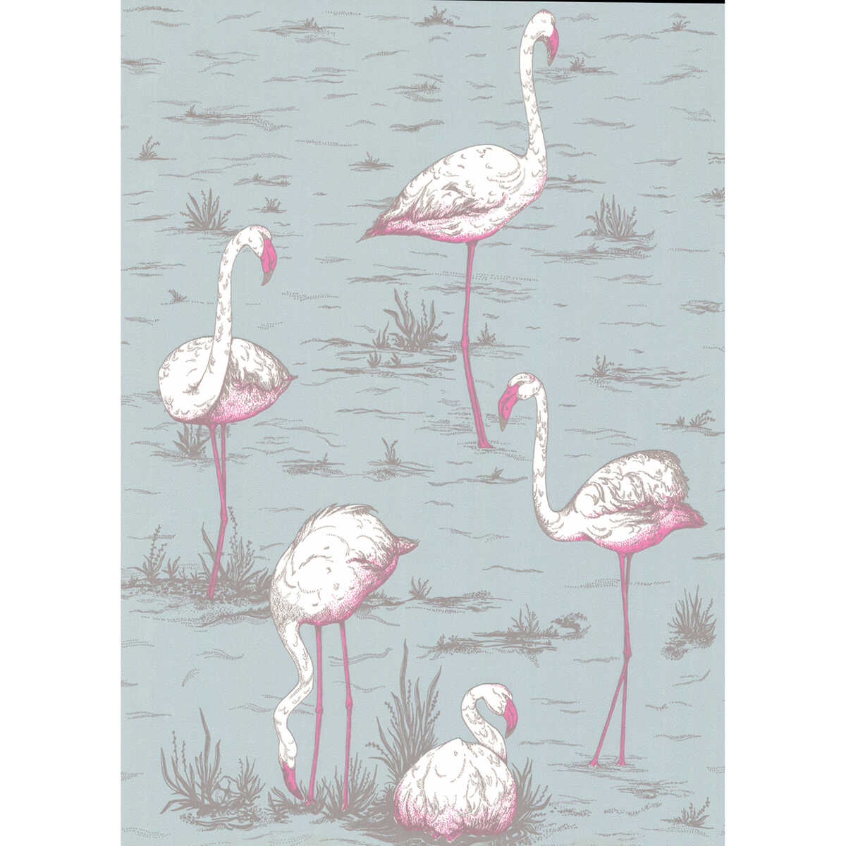 Flamingos - Oale Bl - COLE & SON Wallpaper