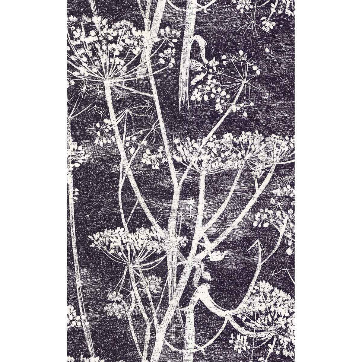 667046Cs0 Cow Parsley White Blk Cole Son Wallpaper