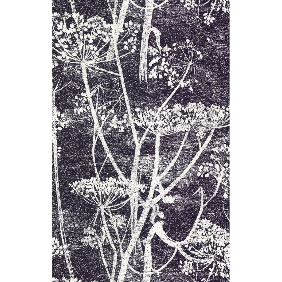 Cow Parsley - White/Blk - COLE & SON Wallpaper