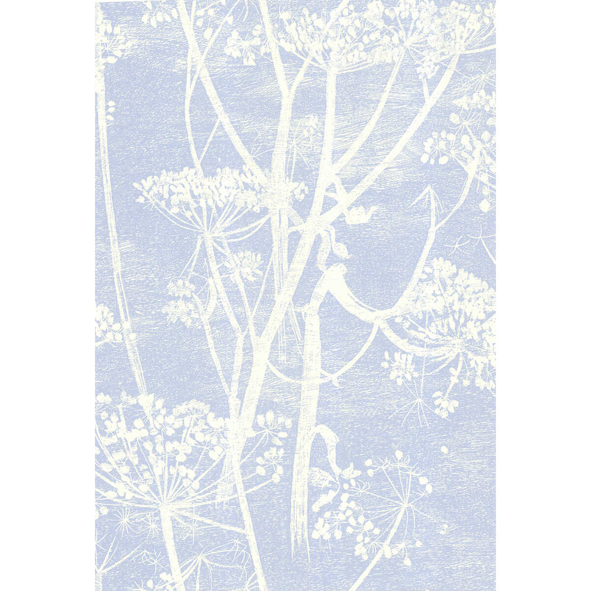 Cow Parsley - White/Blu - COLE & SON Wallpaper