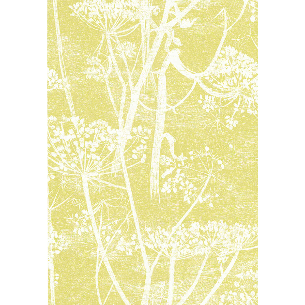 Cow Parsley - White/Y - COLE & SON Wallpaper
