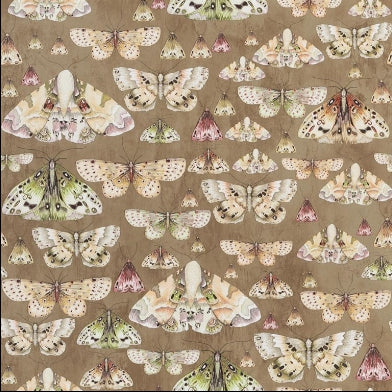 issoria-designers-guild-pdg713-06