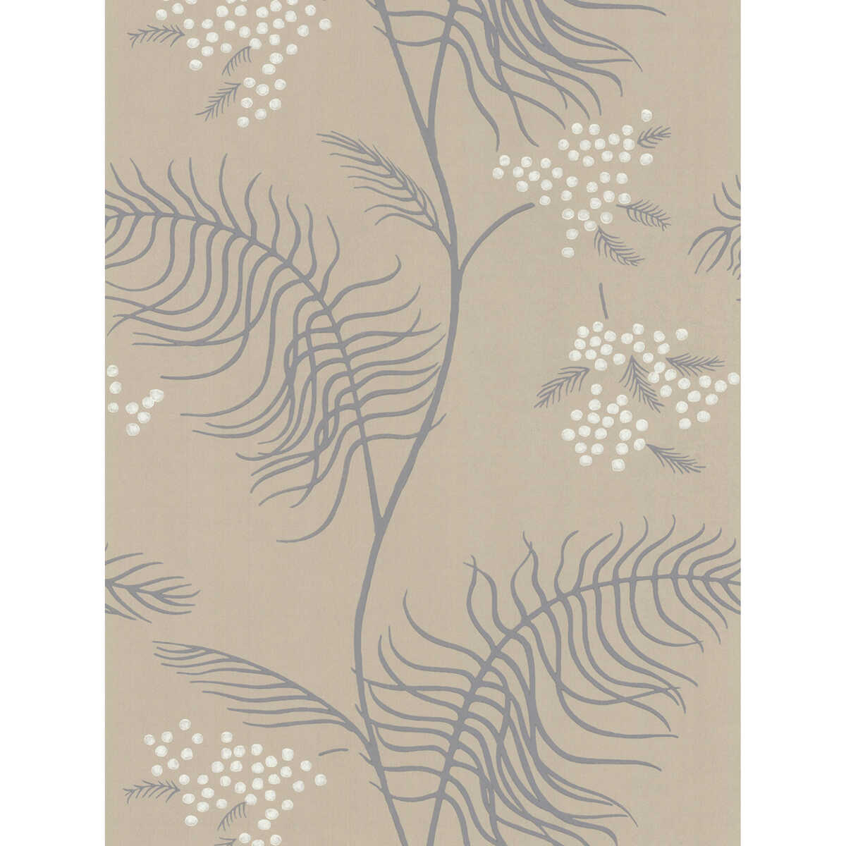 Mimosa - Sandstone - COLE & SON Wallpaper