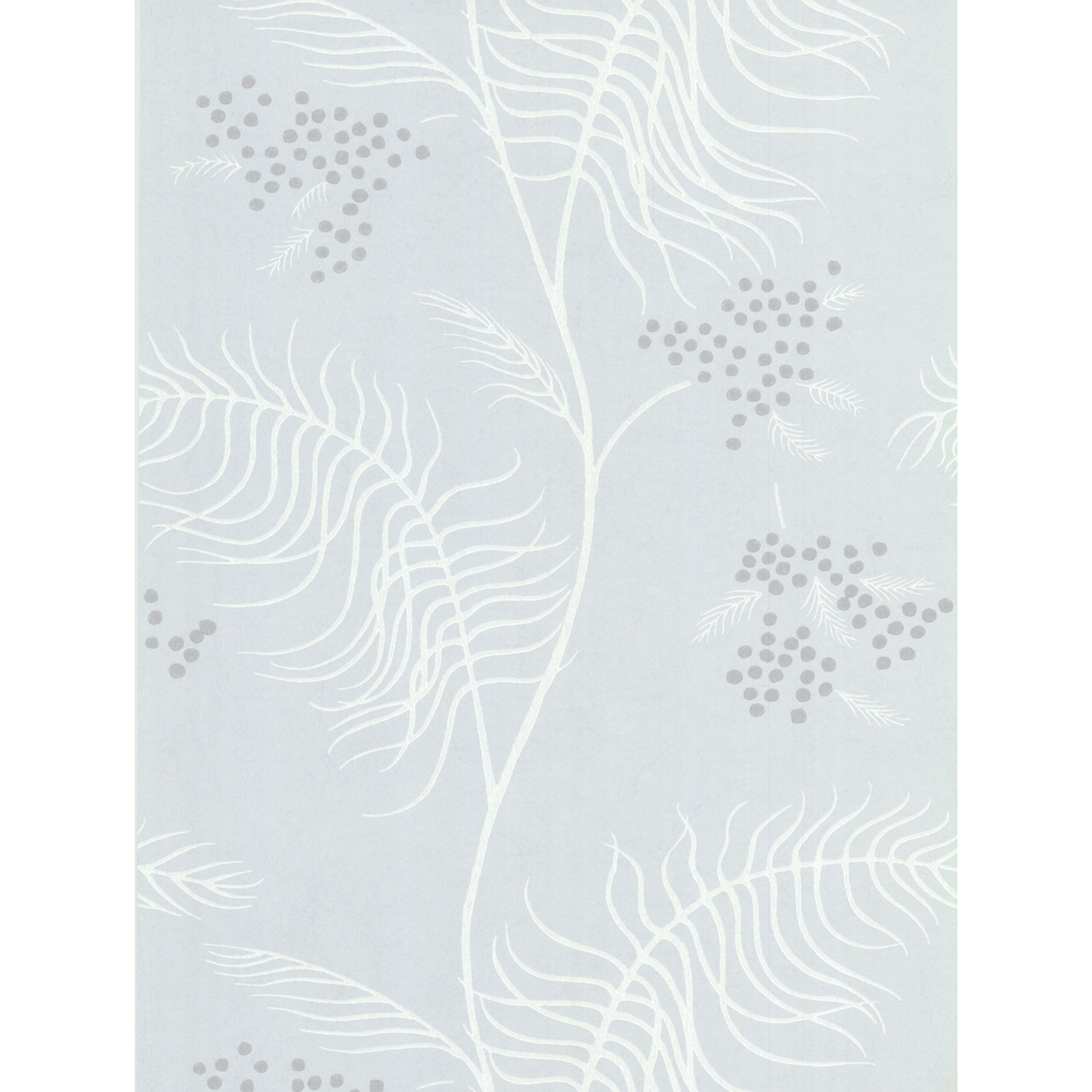 Mimosa - Slate - Cole & Son Wallpaper