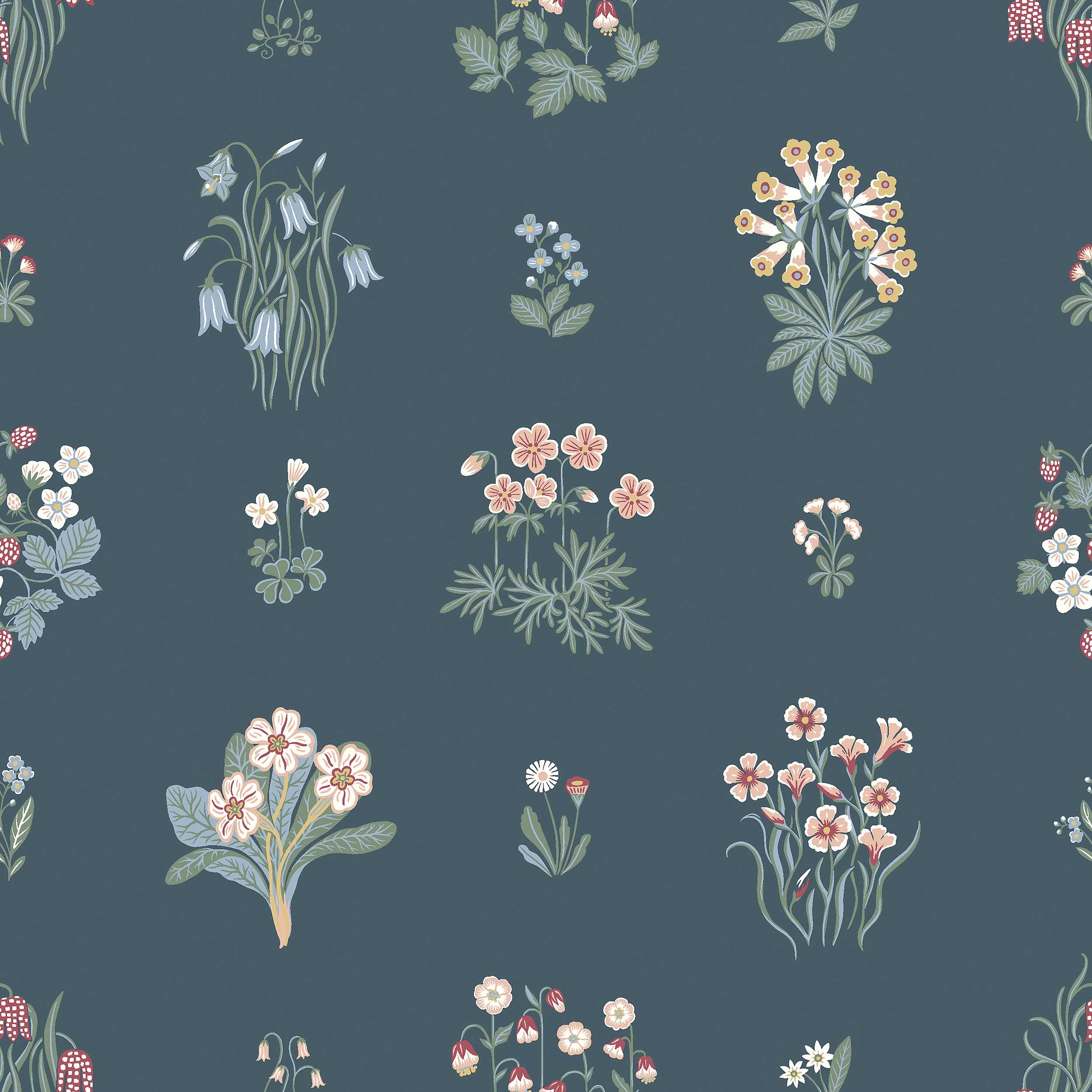 NGSFLORA-SPRUCE-SCHUMACHER-6952