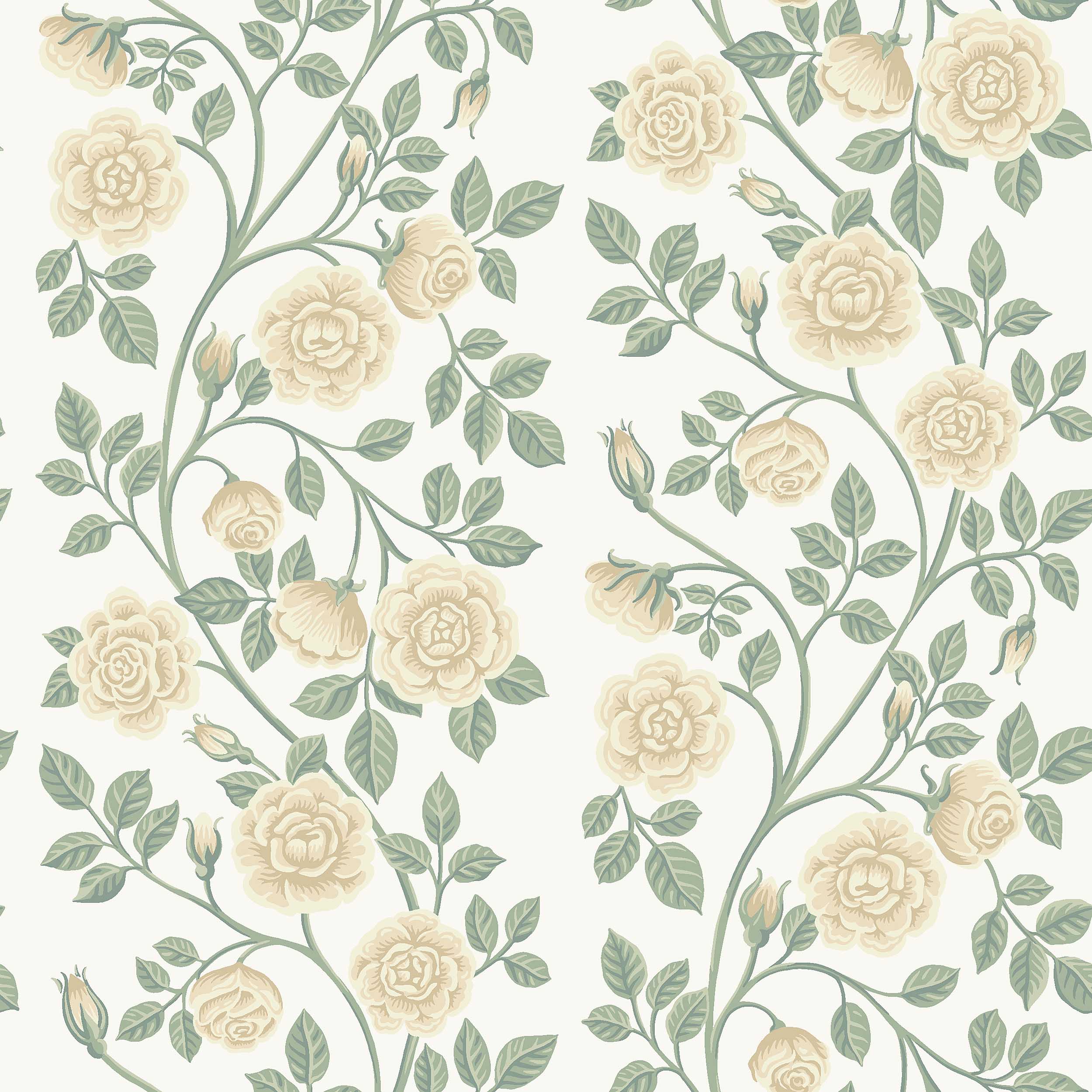 ELSA-SAGE-SCHUMACHER-6957