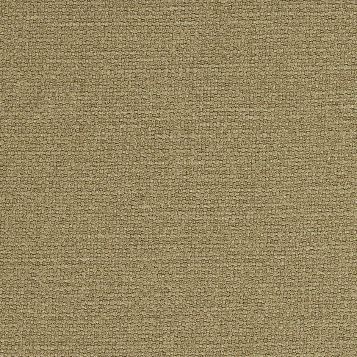 LANGHAM-HIGH-PERFORMANCE-UNION-BARLEY-SCHUMACHER-69618