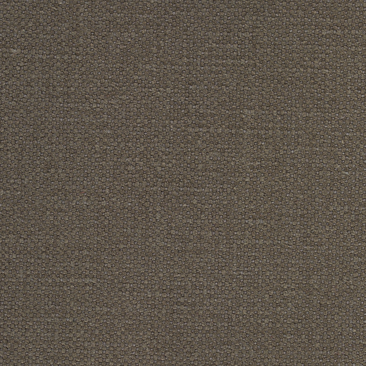 LANGHAM-HIGH-PERFORMANCE-UNION-COCOA-SCHUMACHER-69627