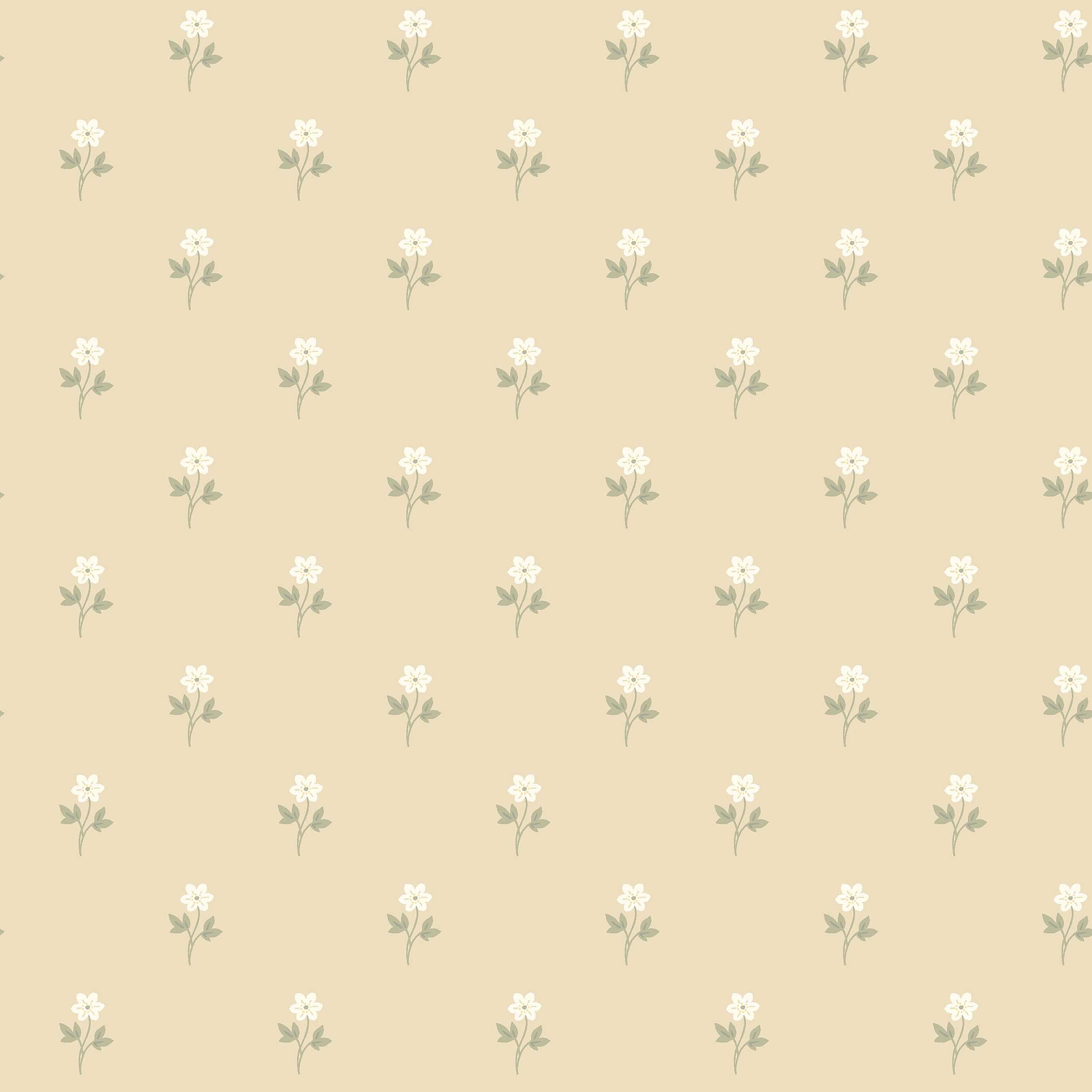 ANEMONE-BY-BORSTAPETER-WHEAT-SCHUMACHER-6972 - Schumacher Wallpaper