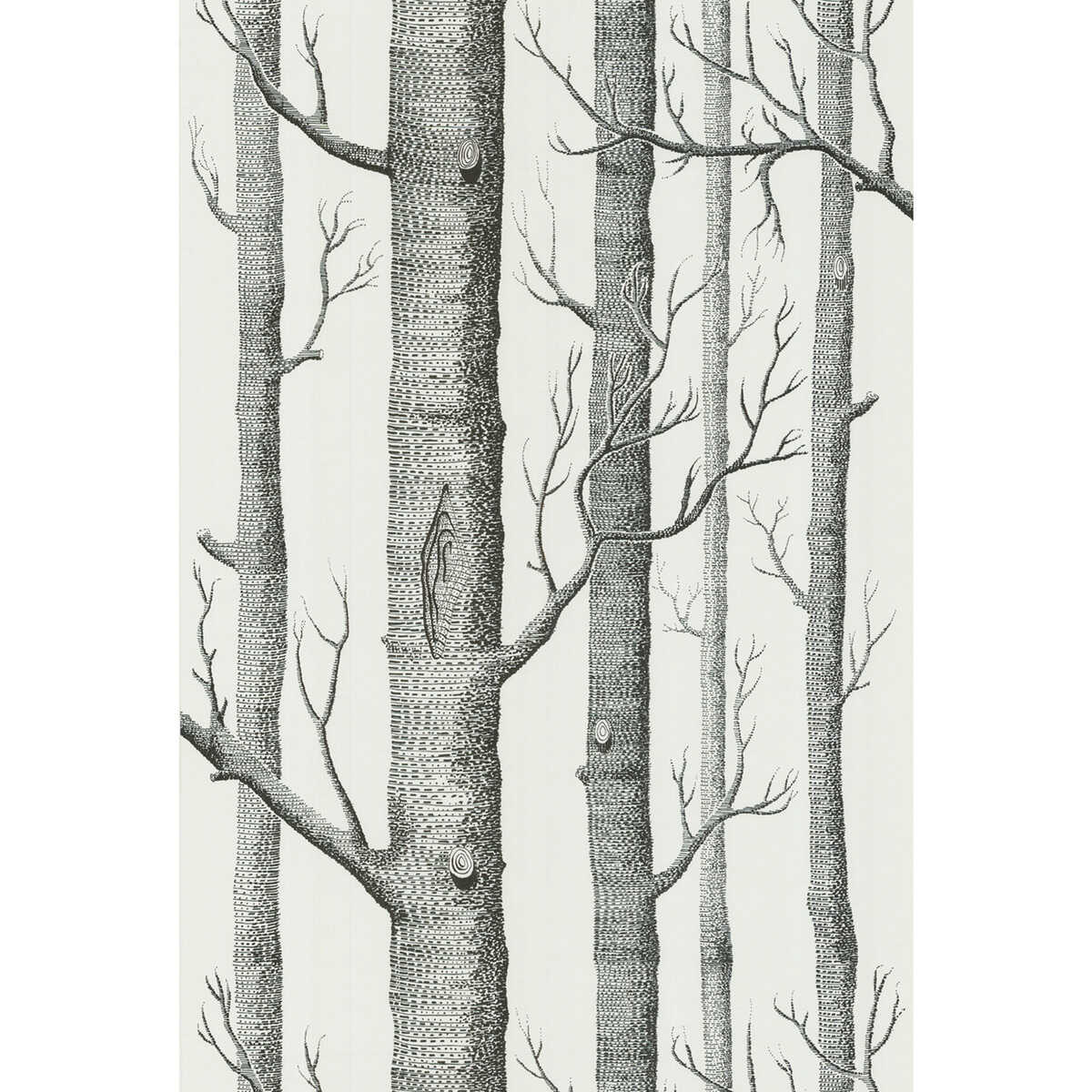 Woods - Onyx/White - COLE & SON Wallpaper