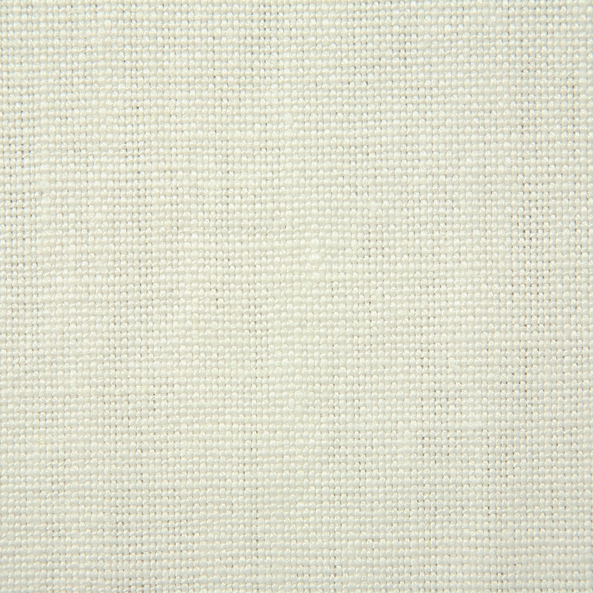 7023-arnaud-oyster-pindler