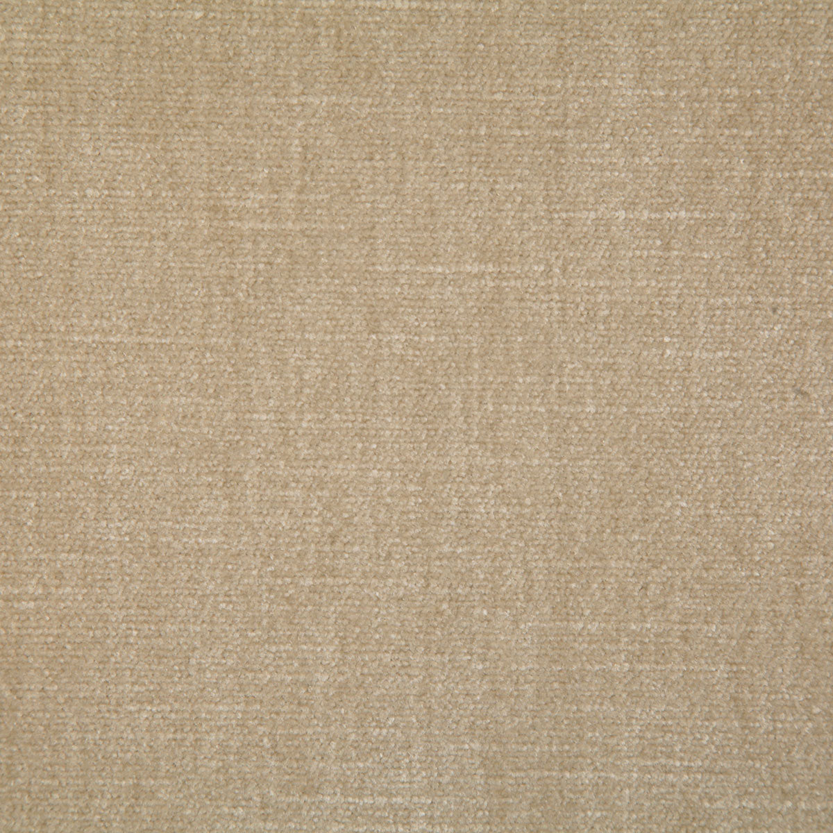 7050-kennedy-champagne-pindler