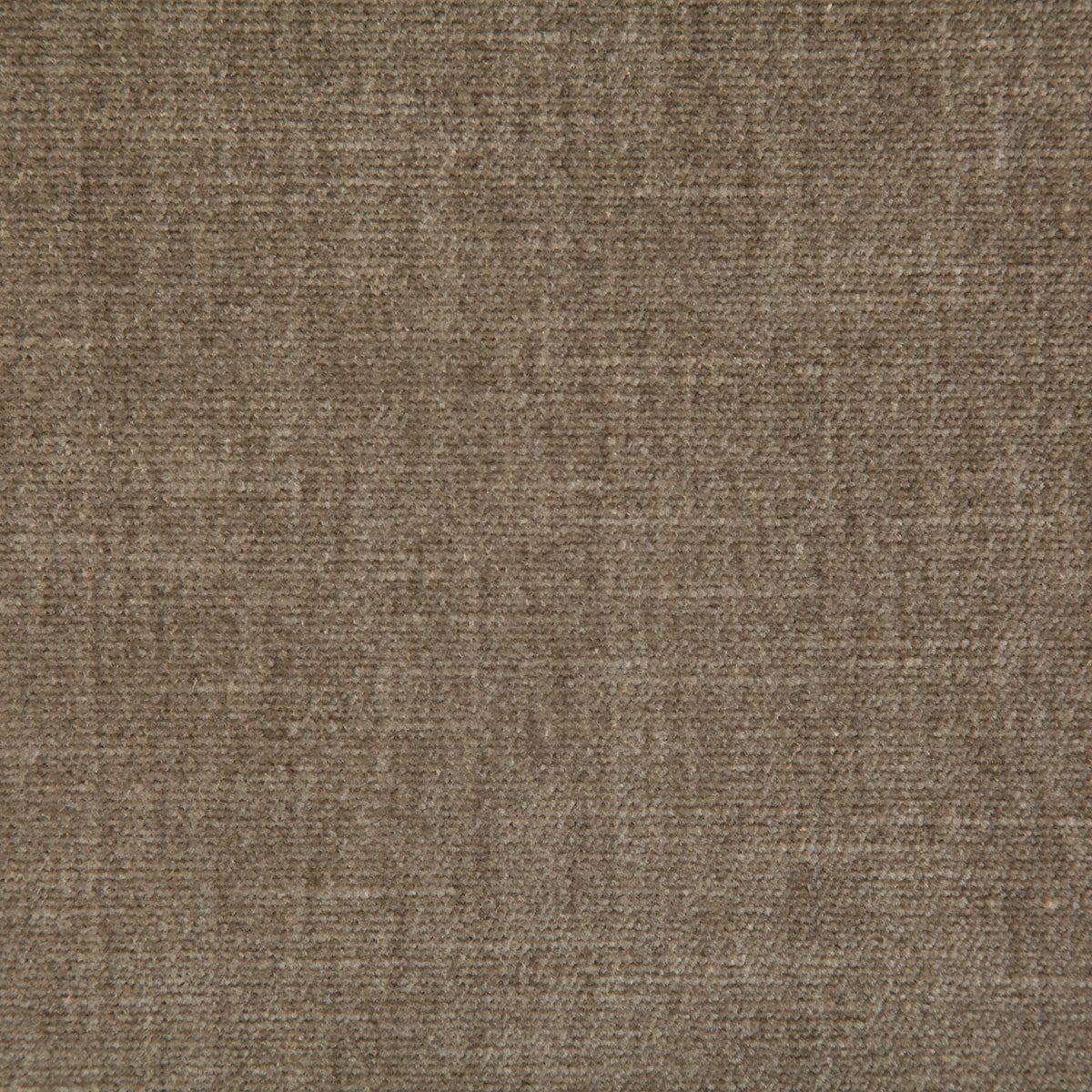 7050-kennedy-tan-pindler