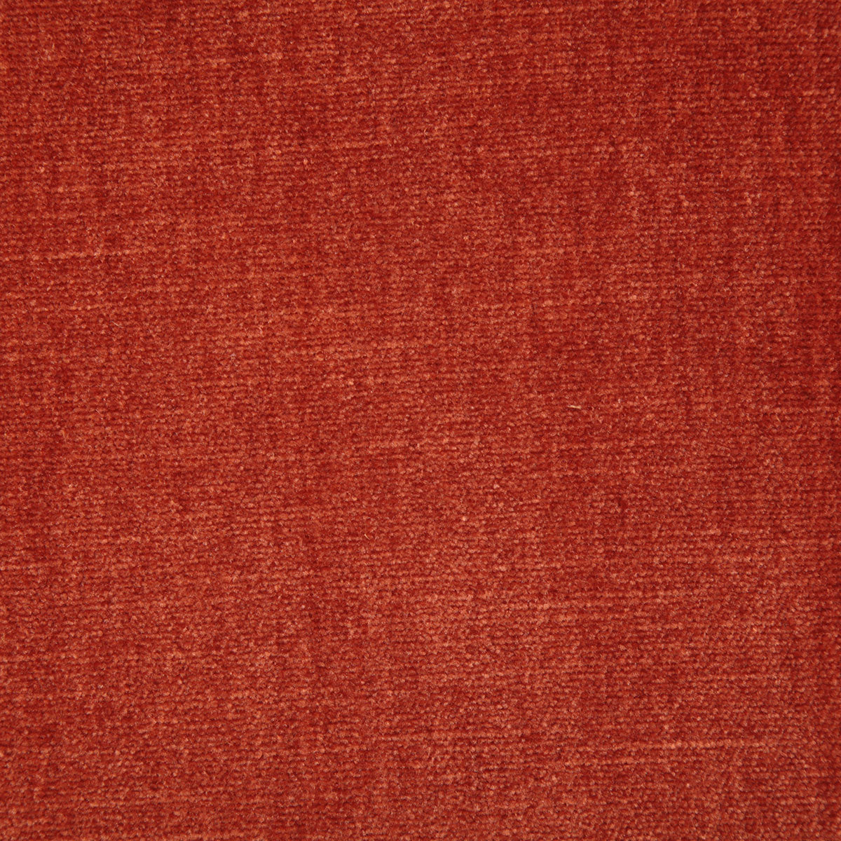 7050-kennedy-terra-pindler