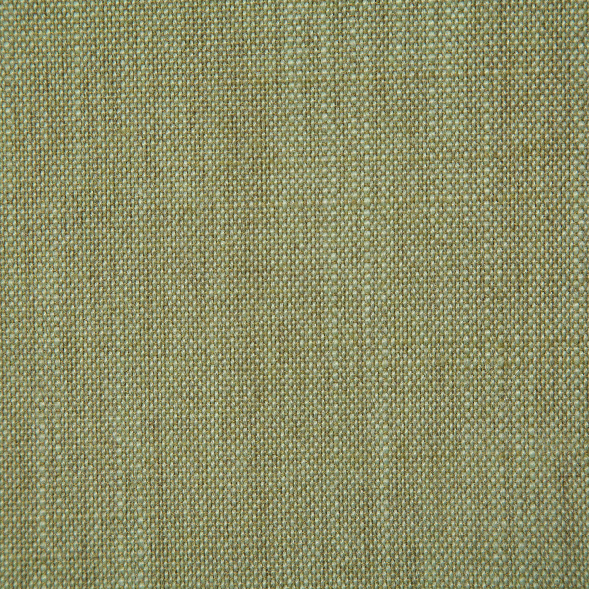 7065-lincoln-palm-pindler