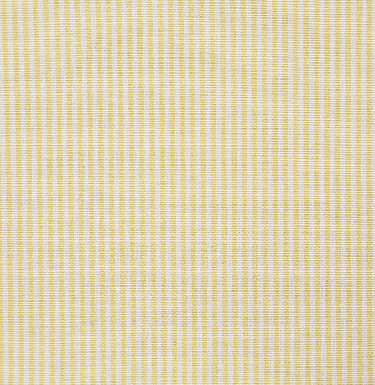 7107-savannah-daffodil-pindler