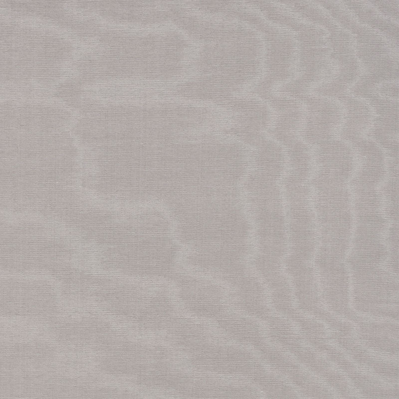 LUNA-MOIR-ZINC-SCHUMACHER-71672