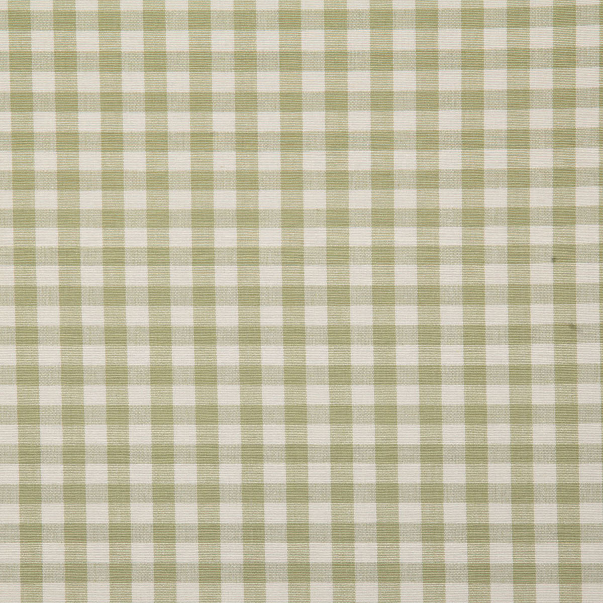 7216-chandler-leaf-pindler