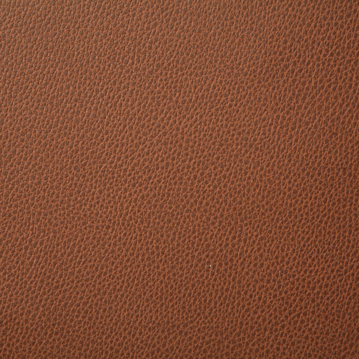 7225-sanders-autumn-pindler - Pindler Fabric