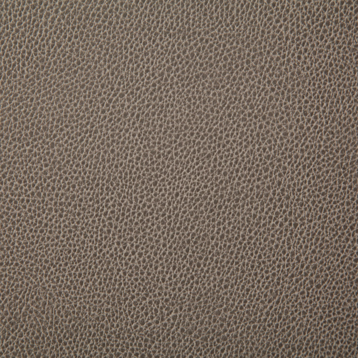 7225-sanders-mushroom-pindler - Pindler Fabric