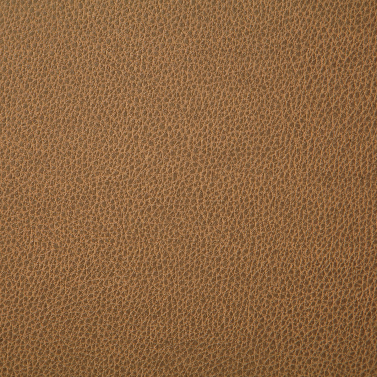 7225-sanders-saddle-pindler