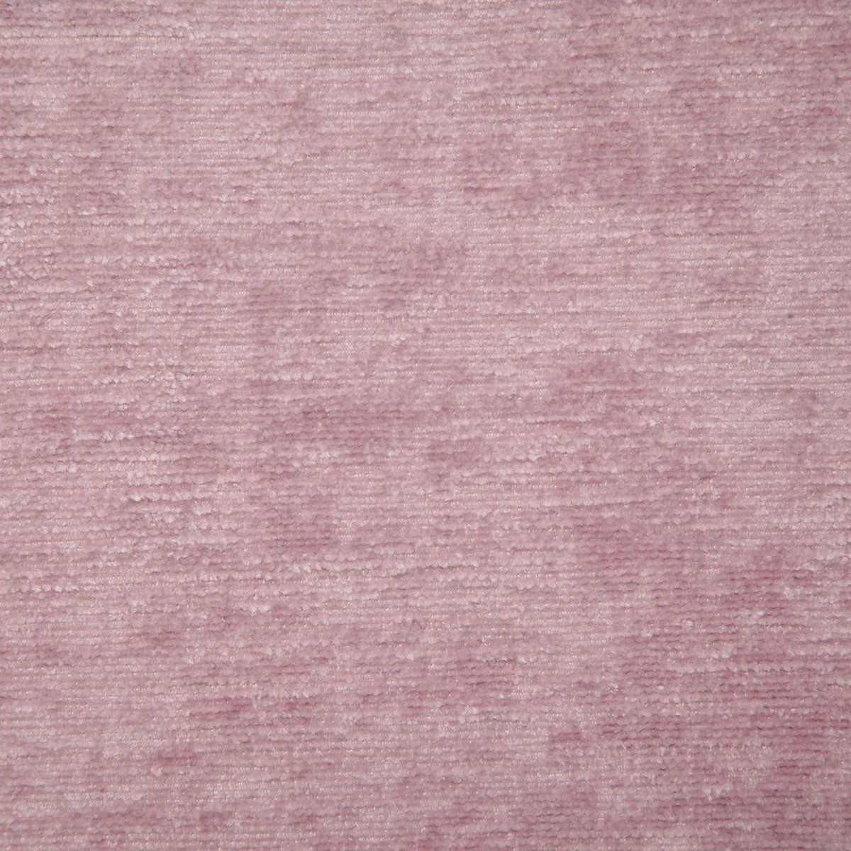 7331-wade-lavender-pindler