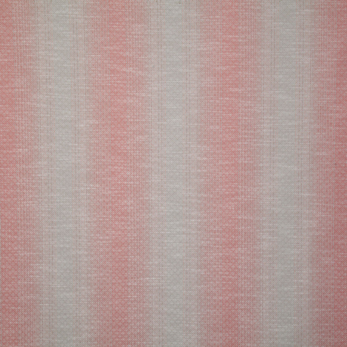 7361-laurent-coral-pindler