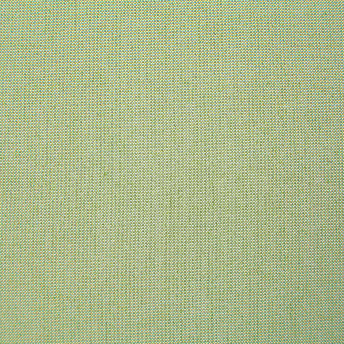 7443-rushton-fern-pindler